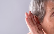 Bí quyết cải thiện suy giảm thính lực ở người cao tuổi nhờ sản phẩm Kim Thính Bí quyết cải thiện suy giảm thính lực ở người cao tuổi nhờ sản phẩm Kim Thính