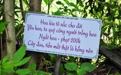Những bảng cảnh báo cực kỳ nhẹ nhàng, dễ thương nhưng lại khiến du khách tuân thủ răm rắp Những bảng cảnh báo cực kỳ nhẹ nhàng, dễ thương nhưng lại khiến du khách tuân thủ răm rắp