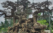 Chàng trai cả tuổi thơ mò cua bắt ốc nay có 'Ngai vàng đất Việt' chục tỷ Chàng trai cả tuổi thơ mò cua bắt ốc nay có 'Ngai vàng đất Việt' chục tỷ