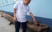 Hà Tĩnh: Phát hiện 2 chiếc thuyền độc mộc cổ dưới lòng sông Hà Tĩnh: Phát hiện 2 chiếc thuyền độc mộc cổ dưới lòng sông