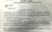 Người làm lộ đề thi Văn lớp 9 ở Pleiku là nhân viên thư viện Người làm lộ đề thi Văn lớp 9 ở Pleiku là nhân viên thư viện