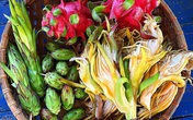 Thử nấu món ăn bằng nguyên liệu đặc biệt này, thành quả gây bất ngờ vì ngon hơn cả tưởng tượng Thử nấu món ăn bằng nguyên liệu đặc biệt này, thành quả gây bất ngờ vì ngon hơn cả tưởng tượng