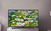 Dọn kho, tivi 43 inch trong Top bán chạy giá chỉ 5 triệu đồng Dọn kho, tivi 43 inch trong Top bán chạy giá chỉ 5 triệu đồng