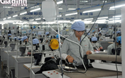 Quảng Ninh: Những kết quả khả quan trong công tác giải quyết việc làm Quảng Ninh: Những kết quả khả quan trong công tác giải quyết việc làm
