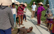 Nghệ An: Người phụ nữ bất tỉnh do dây điện rơi trúng đầu Nghệ An: Người phụ nữ bất tỉnh do dây điện rơi trúng đầu
