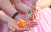 Cô dâu hủy hôn khi biết sự thật về bố của chú rể Cô dâu hủy hôn khi biết sự thật về bố của chú rể