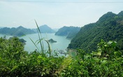 Giàu có nhưng tôi khốn khổ vì con cái tranh nhau tài sản Giàu có nhưng tôi khốn khổ vì con cái tranh nhau tài sản