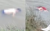 Đã xác minh được danh tính 3 mẹ con tử vong dưới sông Thương - Bắc Giang Đã xác minh được danh tính 3 mẹ con tử vong dưới sông Thương - Bắc Giang
