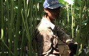 Nông dân kể chuyện: Hai tháng dầm mình dưới bùn, đút túi tiền tỷ Nông dân kể chuyện: Hai tháng dầm mình dưới bùn, đút túi tiền tỷ