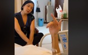 Trên giường bệnh, nhạc sĩ Phó Đức Phương vẫn say mê dạy Mỹ Linh hát Trên giường bệnh, nhạc sĩ Phó Đức Phương vẫn say mê dạy Mỹ Linh hát