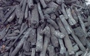 Đặt than củi vào lò vi sóng, điều kỳ diệu xảy ra sau vài ngày sẽ khiến bạn hối hận vì không làm điều này sớm hơn Đặt than củi vào lò vi sóng, điều kỳ diệu xảy ra sau vài ngày sẽ khiến bạn hối hận vì không làm điều này sớm hơn