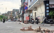 Lời kể nhân chứng vụ xe điên Lexus trên phố đi bộ Tam Bạc, Hải Phòng làm 1 phụ nữ thiệt mạng Lời kể nhân chứng vụ xe điên Lexus trên phố đi bộ Tam Bạc, Hải Phòng làm 1 phụ nữ thiệt mạng