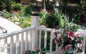 Con dâu yêu cầu mẹ chồng đóng góp phí sinh hoạt 3 triệu/tháng Con dâu yêu cầu mẹ chồng đóng góp phí sinh hoạt 3 triệu/tháng