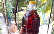 Ủ vại mắm suốt 3 năm, rút nước cốt đặc biệt bán cho dân sành Ủ vại mắm suốt 3 năm, rút nước cốt đặc biệt bán cho dân sành