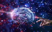Cân nặng ảnh hưởng thế nào đến não? Kết quả đáng sợ khi quét não Cân nặng ảnh hưởng thế nào đến não? Kết quả đáng sợ khi quét não