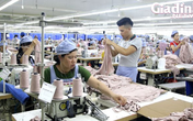 Phú Thọ: Đa dạng giải pháp hỗ trợ và tạo việc làm cho người lao động Phú Thọ: Đa dạng giải pháp hỗ trợ và tạo việc làm cho người lao động