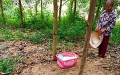 Bé gái sơ sinh khoảng 5 ngày tuổi bị bỏ rơi ven đường kèm lời nhắn "tôi không đủ điều kiện nuôi bé, ai nhặt được nuôi đi" Bé gái sơ sinh khoảng 5 ngày tuổi bị bỏ rơi ven đường kèm lời nhắn "tôi không đủ điều kiện nuôi bé, ai nhặt được nuôi đi"
