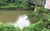 Hải Phòng: Giận vợ không gửi tiền về, chồng ôm 2 con nhỏ nhảy cầu tự vẫn Hải Phòng: Giận vợ không gửi tiền về, chồng ôm 2 con nhỏ nhảy cầu tự vẫn