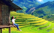 Thua lỗ trăm tỷ, giám đốc du lịch đi bán hoa quả, trà sữa Thua lỗ trăm tỷ, giám đốc du lịch đi bán hoa quả, trà sữa
