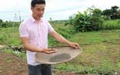 Bỏ việc thành phố, về quê khởi nghiệp từ... hạt mồng tơi Bỏ việc thành phố, về quê khởi nghiệp từ... hạt mồng tơi