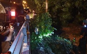 Phát hiện nhiều xe môi trường đổ trộm chất thải trên Đại lộ Thăng Long Phát hiện nhiều xe môi trường đổ trộm chất thải trên Đại lộ Thăng Long