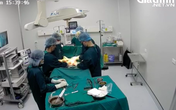VIDEO: Hồi hộp xem thực tế bác sĩ mổ một ca tắc ruột qua Telehealth VIDEO: Hồi hộp xem thực tế bác sĩ mổ một ca tắc ruột qua Telehealth