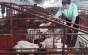 Trúng lớn 11 tỷ/năm, ám ảnh những ngày chủ nợ canh cửa đòi tiền Trúng lớn 11 tỷ/năm, ám ảnh những ngày chủ nợ canh cửa đòi tiền