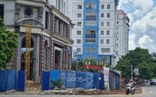 Giám định những cây xanh chết bất thường trước cửa tòa nhà 15 tầng ở Hải Phòng Giám định những cây xanh chết bất thường trước cửa tòa nhà 15 tầng ở Hải Phòng