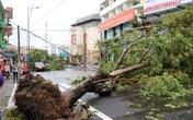 Thêm một nạn nhân ở Huế tử vong do bão số 5 Thêm một nạn nhân ở Huế tử vong do bão số 5