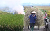 Từ 01/01/2021, Hà Nội không còn hoạt động đốt rơm rạ Từ 01/01/2021, Hà Nội không còn hoạt động đốt rơm rạ