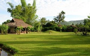 Thâm cung bí sử (219 - 9): Công ty của chúng mình Thâm cung bí sử (219 - 9): Công ty của chúng mình