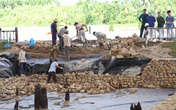 Bãi cọc Cao Quỳ, Hải Phòng có liên quan tới trận chiến Bạch Đằng 1288? Bãi cọc Cao Quỳ, Hải Phòng có liên quan tới trận chiến Bạch Đằng 1288?