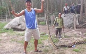Trăn dài 5 m nuốt chửng con dê 10 kg Trăn dài 5 m nuốt chửng con dê 10 kg