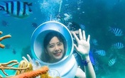 Vé khứ hồi đi Phú Quốc giảm còn hơn 1 triệu đồng Vé khứ hồi đi Phú Quốc giảm còn hơn 1 triệu đồng