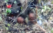 Kinh hoàng phát hiện 9 bộ hài cốt người trong nhà và dưới ao ở Tây Ninh Kinh hoàng phát hiện 9 bộ hài cốt người trong nhà và dưới ao ở Tây Ninh