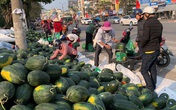 Dưa hấu ế chất đống vỉa hè Hà Nội, đầu năm tê tái giữa giá rét Dưa hấu ế chất đống vỉa hè Hà Nội, đầu năm tê tái giữa giá rét