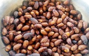 Khu chợ côn trùng bán đầy bọ xít, châu chấu... hiếm có Việt Nam Khu chợ côn trùng bán đầy bọ xít, châu chấu... hiếm có Việt Nam