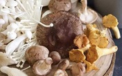 7 loại rau củ giàu protein không kém gì thịt, cá thậm chí còn nhiều hơn 7 loại rau củ giàu protein không kém gì thịt, cá thậm chí còn nhiều hơn