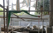 Sập giàn giáo trụ sở xã, thợ xây tử vong Sập giàn giáo trụ sở xã, thợ xây tử vong