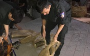 Bắt 5 đối tượng ngang nhiên vào nhà dân bắt người rồi tra tấn Bắt 5 đối tượng ngang nhiên vào nhà dân bắt người rồi tra tấn