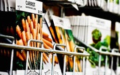 Những mặt hàng kỳ lạ mà người Mỹ dự trữ cho đại dịch Những mặt hàng kỳ lạ mà người Mỹ dự trữ cho đại dịch