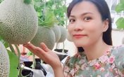 Gặp "siêu nhân" trồng dưa trên sân thượng, với kinh nghiệm trồng cây nào trĩu quả cây đó Gặp "siêu nhân" trồng dưa trên sân thượng, với kinh nghiệm trồng cây nào trĩu quả cây đó