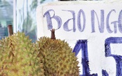 Trái cây giá rẻ ê hề, người mua vẫn lưỡng lự Trái cây giá rẻ ê hề, người mua vẫn lưỡng lự