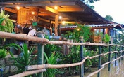 Cuộc sống trong mơ với ngôi nhà cấp 4 có view cánh đồng lúa chín và khu vườn trồng đủ loại rau xanh Cuộc sống trong mơ với ngôi nhà cấp 4 có view cánh đồng lúa chín và khu vườn trồng đủ loại rau xanh
