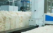 Bị kẹt trong máy bông ở khu công nghiệp tỉnh Tây Ninh, 1 người tử vong Bị kẹt trong máy bông ở khu công nghiệp tỉnh Tây Ninh, 1 người tử vong