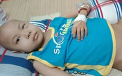 Nỗi thống khổ của đôi vợ chồng nghèo cùng lúc chăm 2 con bệnh nặng những ngày cận Tết Nỗi thống khổ của đôi vợ chồng nghèo cùng lúc chăm 2 con bệnh nặng những ngày cận Tết