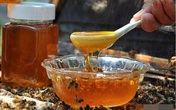 Uống mật ong nếu có 1 trong 6 dấu hiệu này cần dừng ngay kẻo hối hận Uống mật ong nếu có 1 trong 6 dấu hiệu này cần dừng ngay kẻo hối hận