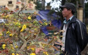 Dựng lều, ngủ đường để không... mất Tết Dựng lều, ngủ đường để không... mất Tết