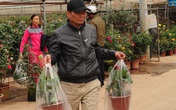 Dân Hà Nội rủ nhau sang vựa hoa Xuân Quan chọn cây chơi tết Dân Hà Nội rủ nhau sang vựa hoa Xuân Quan chọn cây chơi tết