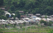 Sắc xuân trở lại Nậm Păm Sắc xuân trở lại Nậm Păm